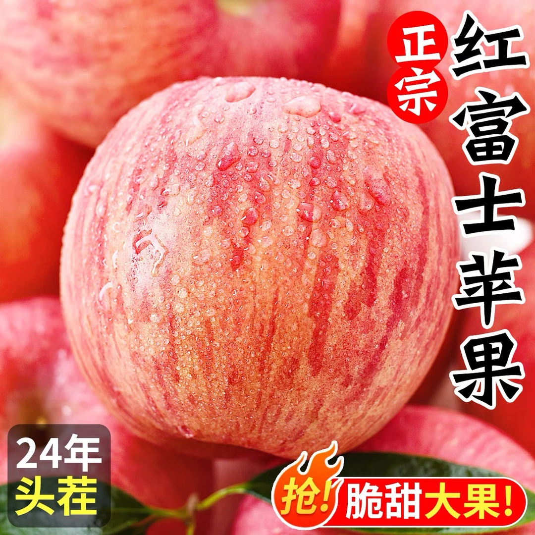 山东烟台红富士新鲜采摘现摘现卖产地直发脆甜多汁大果包邮