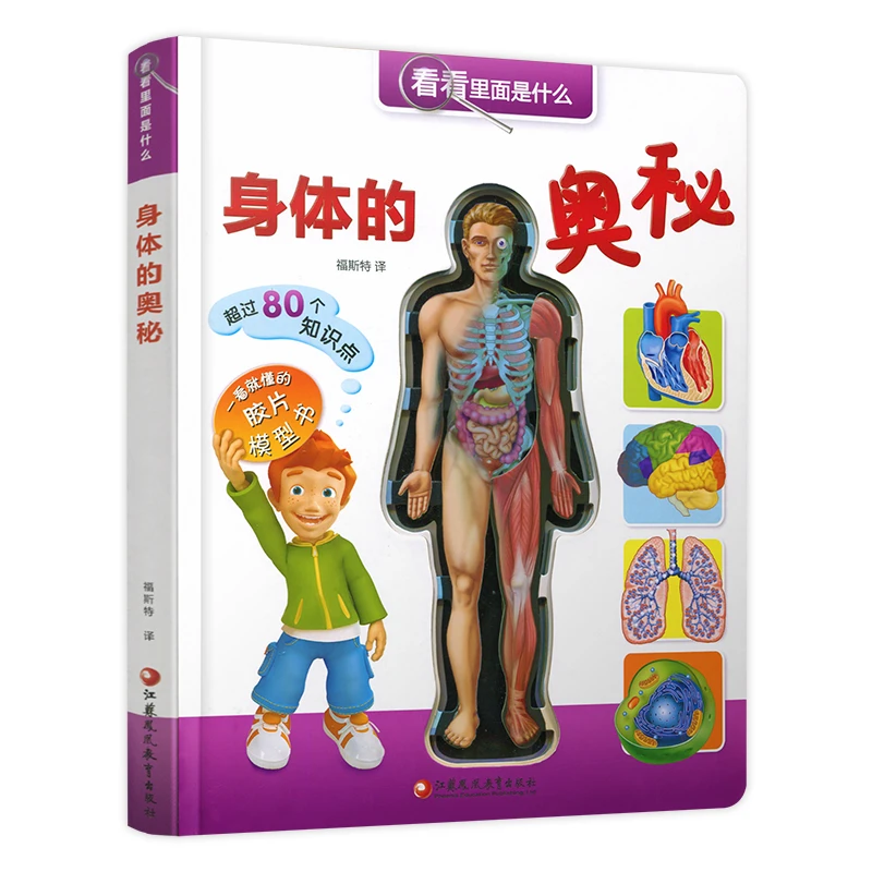 【苏教童书】身体的奥秘 胶片模型探索人体构造