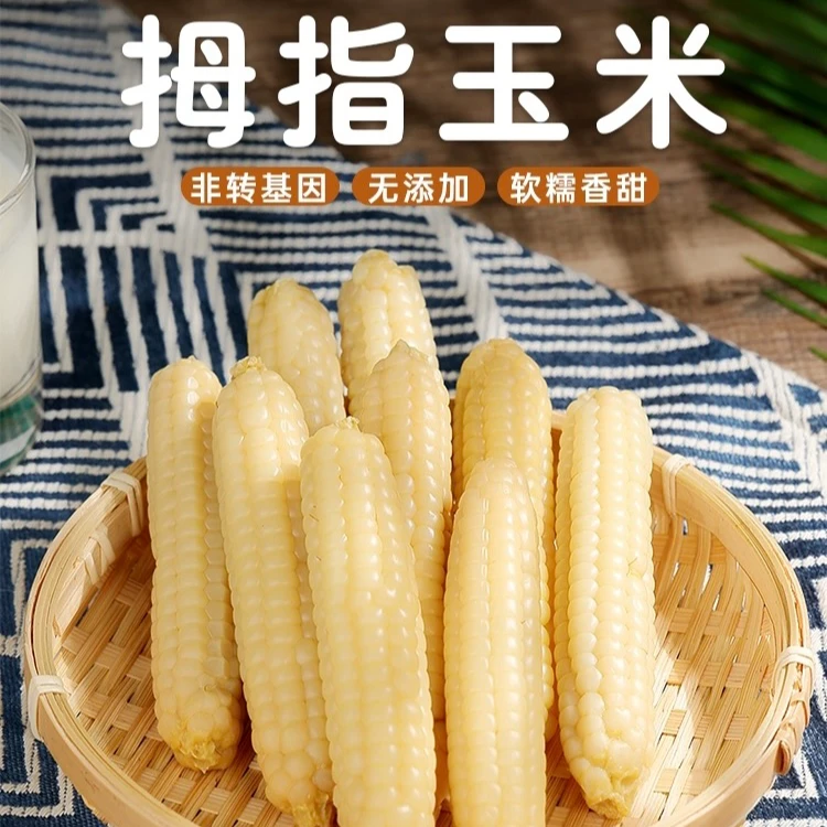 阿鹏拇指粘玉米香甜软糯不塞牙宝宝辅食水果粘玉米皮薄不塞牙中果