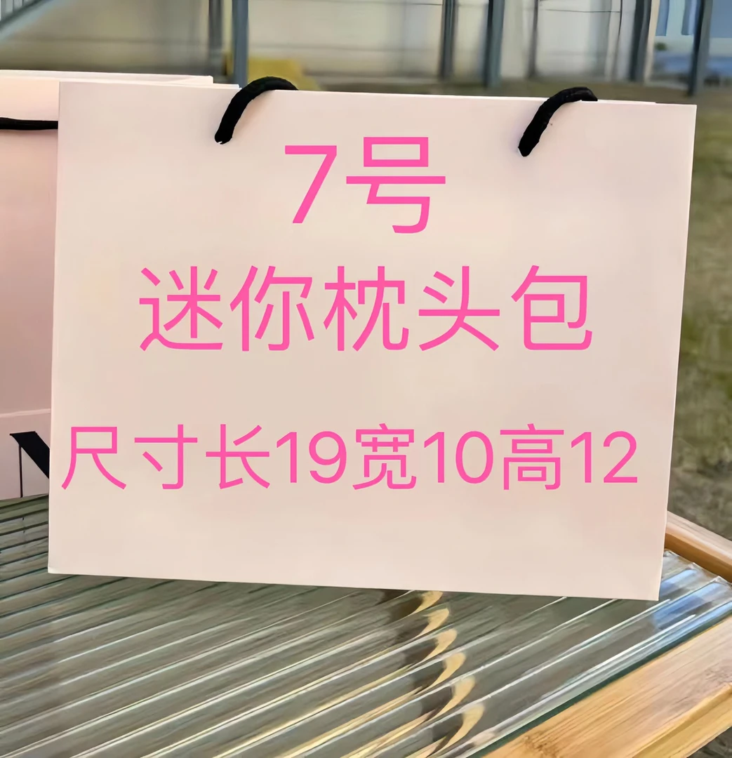 【A7】 2024新款迷你枕头包 （尺寸长19 宽10 高12） 气质时尚洋气