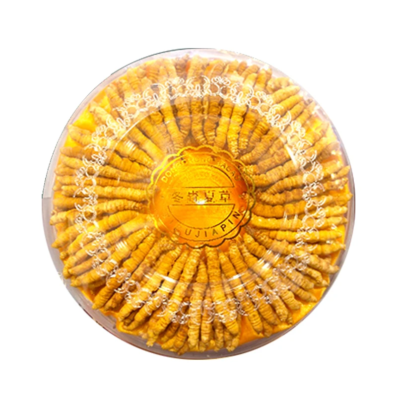 西藏冬虫夏草 2024纯肉节干断虫草  【顺丰包邮】