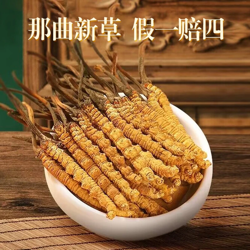 圣迪康藏洁净冬虫夏草 西藏那曲高海拔虫草 5根/克 礼盒装食用