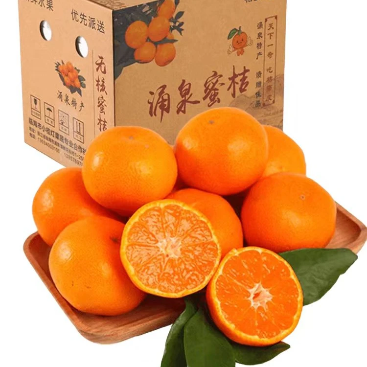 【涌泉镇发货】临海涌泉蜜桔无籽蜜桔当季新鲜水果现摘整箱礼盒