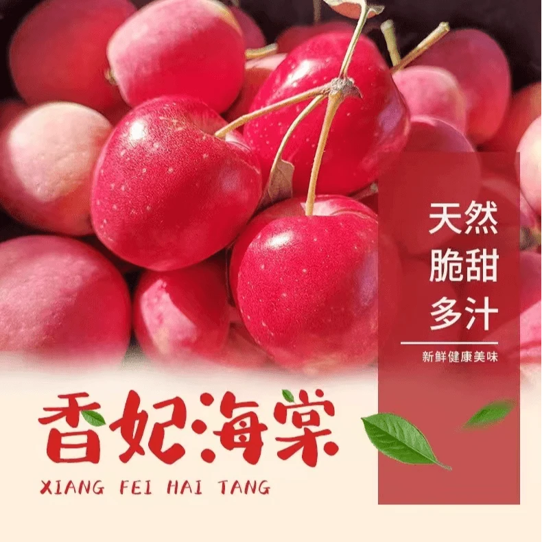 【小明正能量】新疆香妃海棠果新鲜水果脆甜沙果孕妇小苹果4斤装