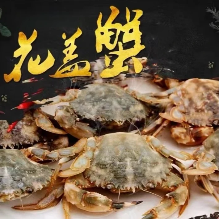 大连花盖 4-5只/斤  三斤 母 有断腿