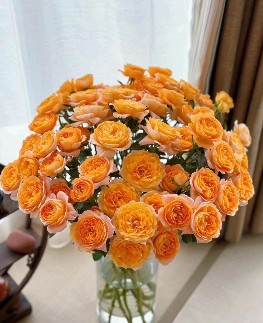 鲜花  多头玫瑰  果汁阳台8支+2支不售后  两单包邮