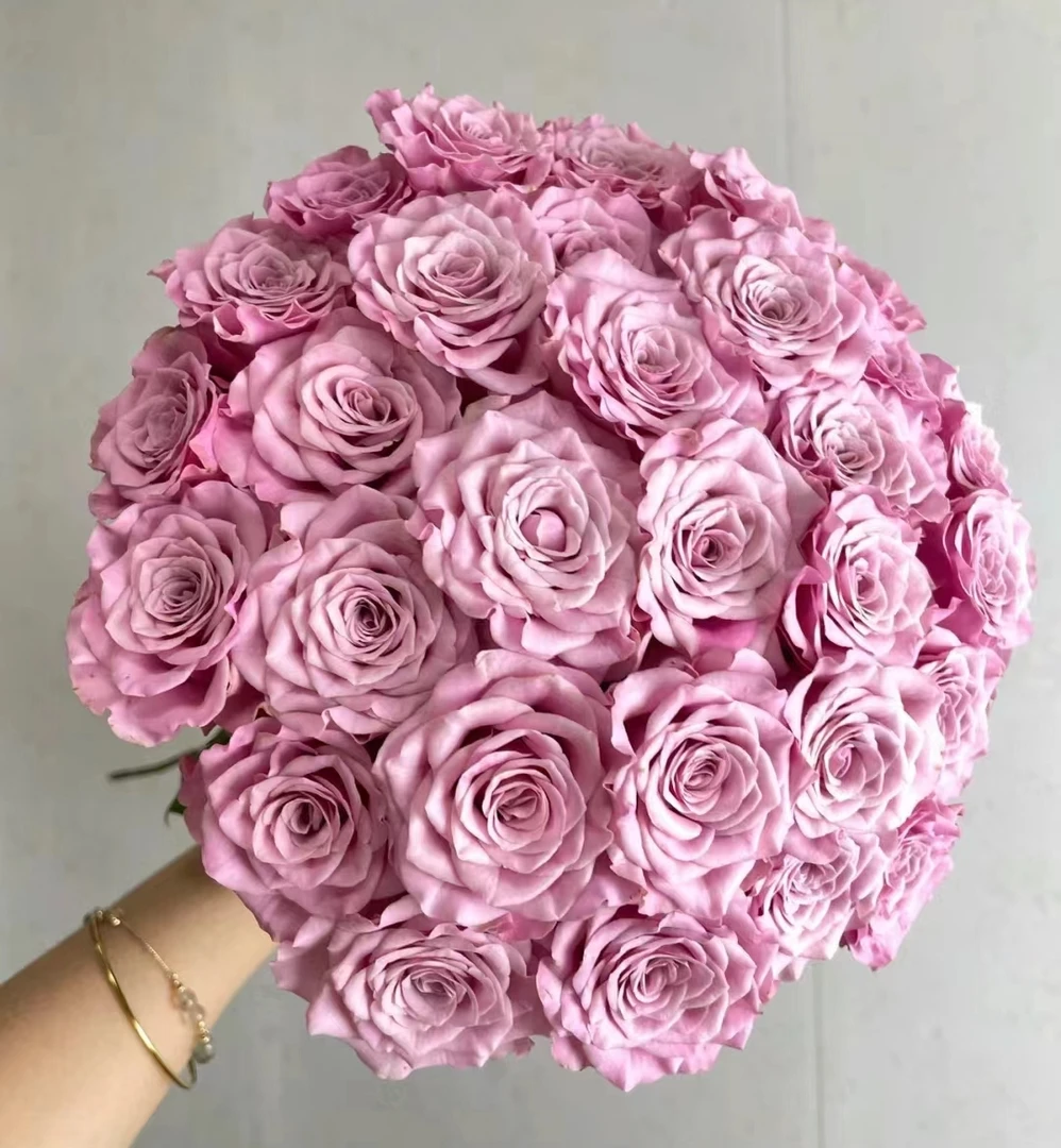 鲜花  多头玫瑰  诺拉8支+2支不售后  两单包邮