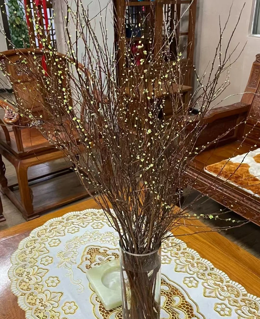 鲜花    包邮干支雪柳5扎