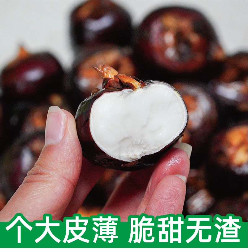 新鲜带泥马蹄荸荠新鲜大果农家种植产地直发马蹄新鲜水果脆甜多汁