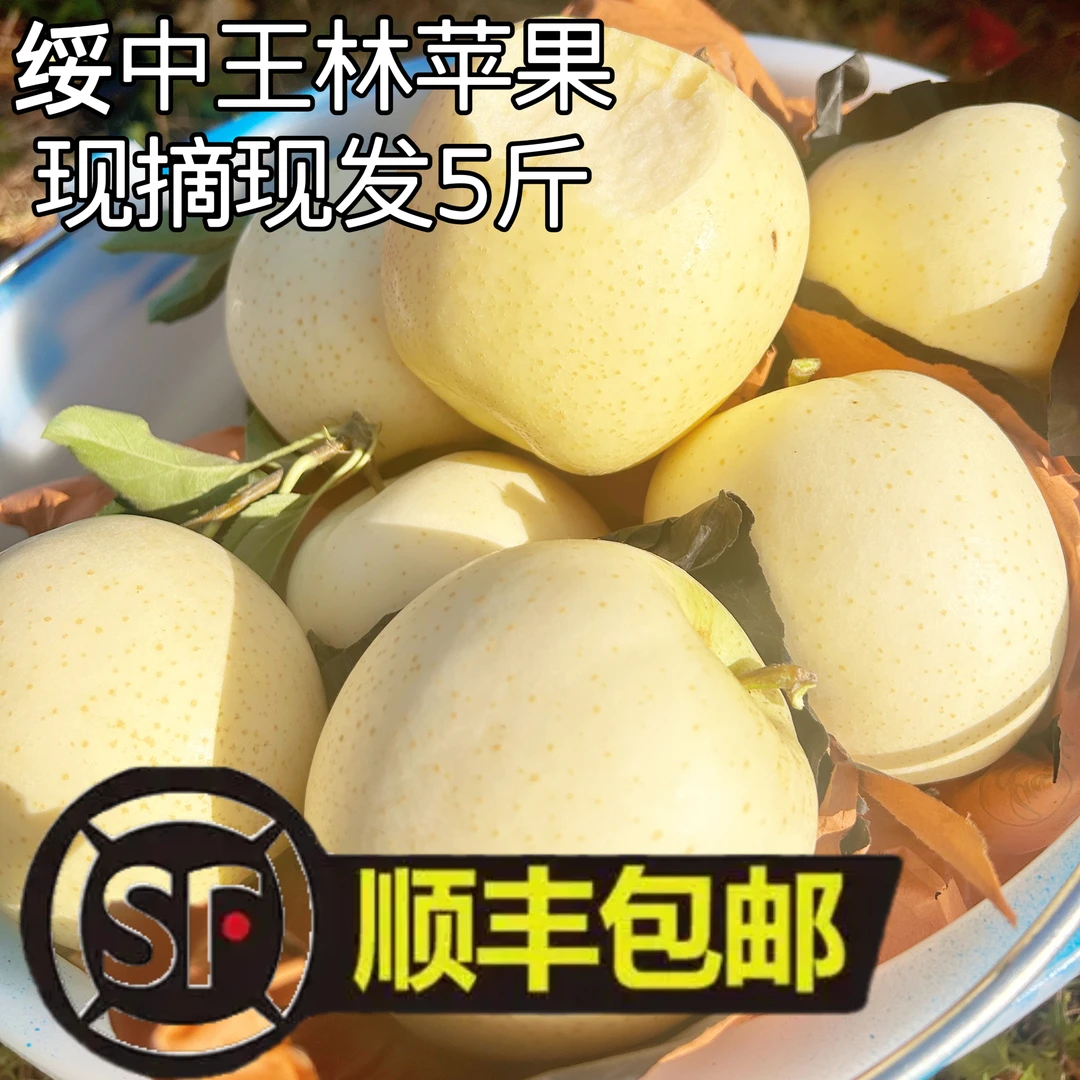 绥中王林苹果,口感甜脆多汁,兰花香味