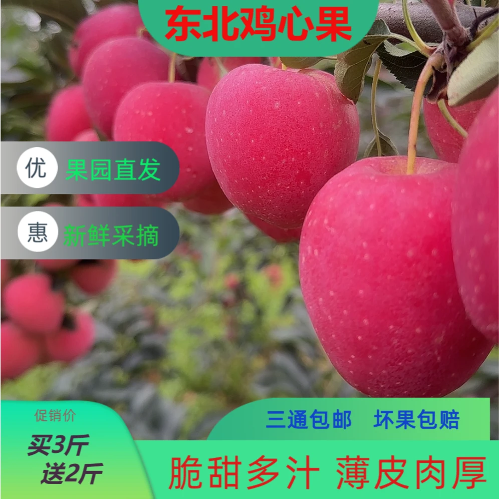 鸡心果 脆甜多汁