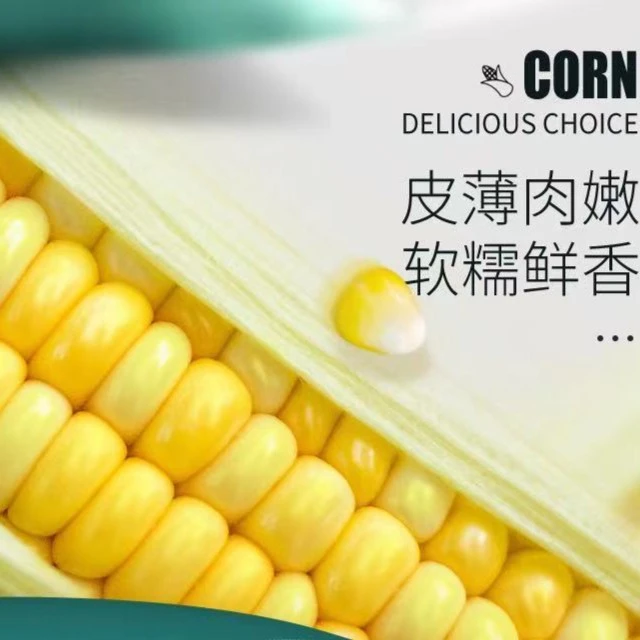 由米由家有机真空糯玉米200g*10颗粒饱满熟制非转基因