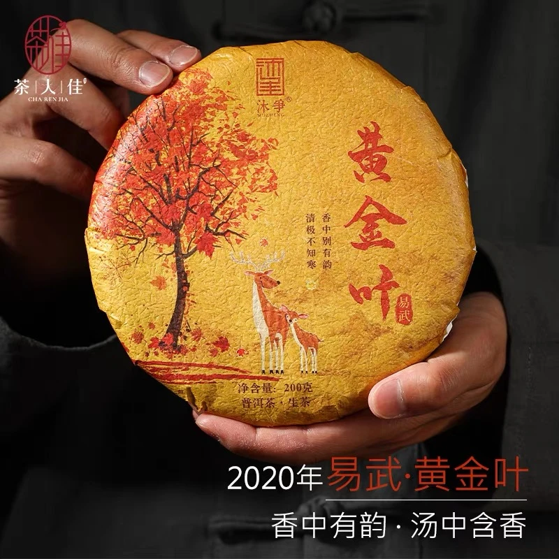 云南易武正山黄金叶早春古树普洱生茶叶刮风寨国有林200g饼茶叶