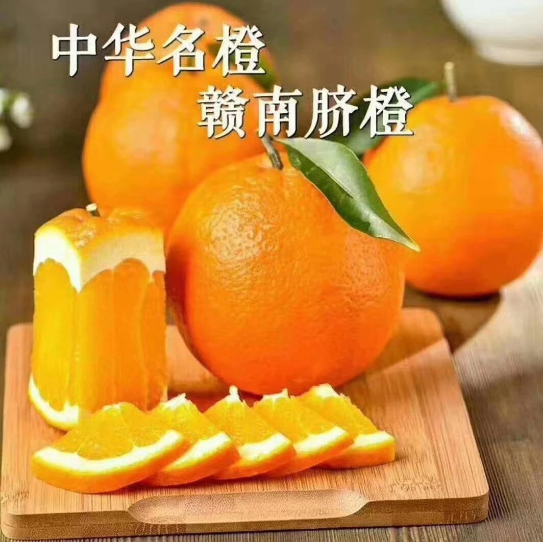 正宗江西赣南脐橙新鲜多汁香甜橙子皮薄瀑汁美味现摘