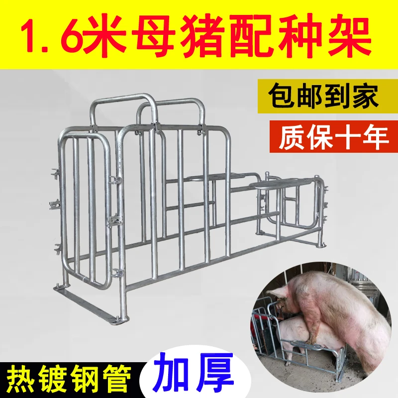 母猪配种架公猪采精架子假母台小母猪大公猪授精配种神器