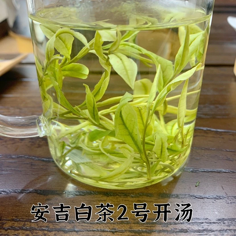 2024年安吉白茶明前茶2号250g/500g直播兰花香新茶厂家直销礼盒