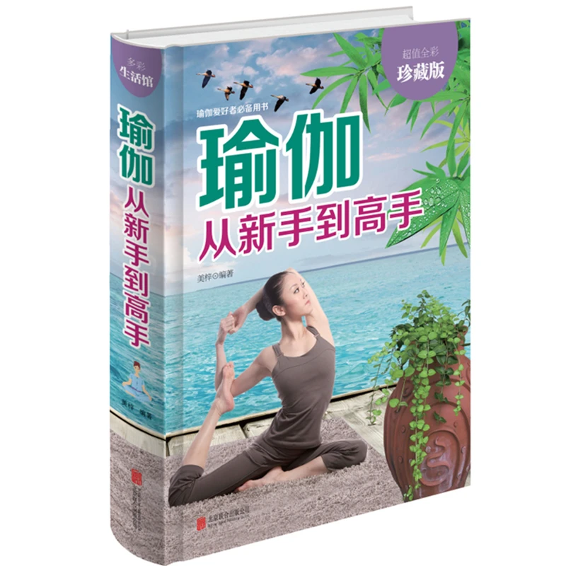 【读书天地】瑜伽从新手到高手 瑜伽书教程 瑜伽入门到精通