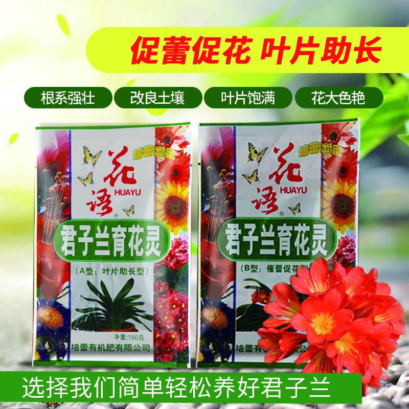 君子兰育花灵促花助长壮苗促根补充氮磷钾家庭优选增强优质有机物