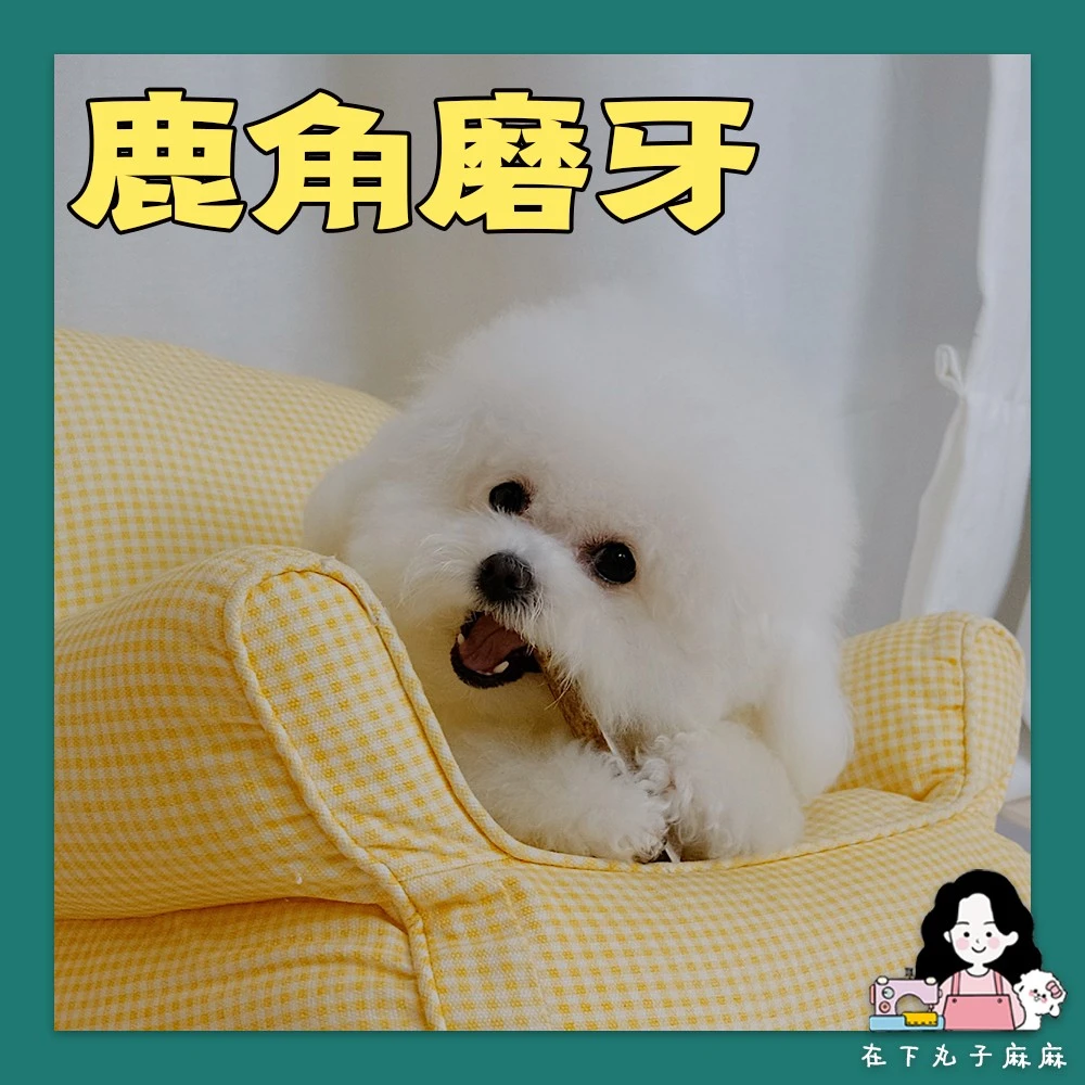 【安全磨牙】吉辛鹿角磨牙棒 宠物狗狗磨牙耐咬 一根能啃好久