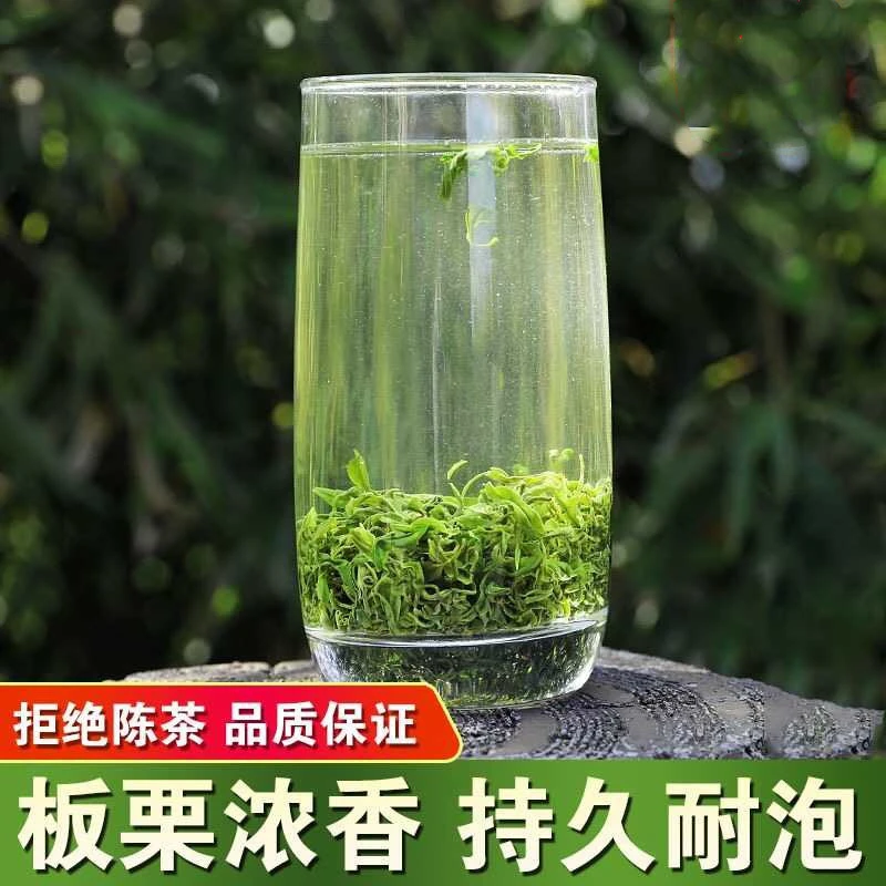 2025新茶浙江高山绿茶松阳香茶品质鲜爽浓栗香耐泡