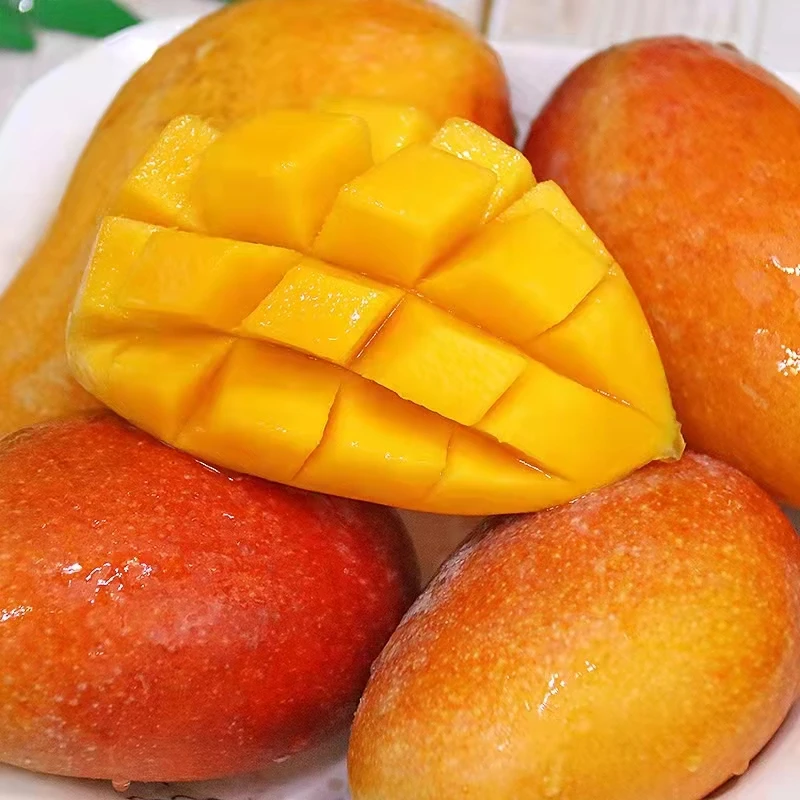 海南树上熟贵妃芒果4斤礼盒装小芒果顺丰包邮无需催熟