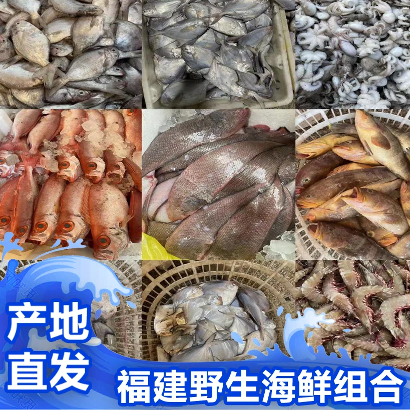 【2号】福建啊三海鲜 海鲜组合 现称 新鲜寄顺丰