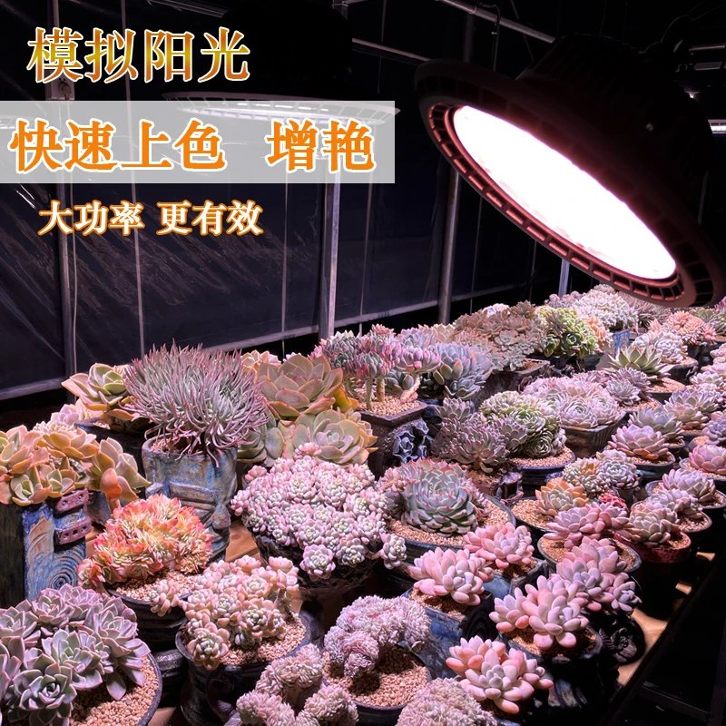 陶然花器飞碟防水增色出状态增状态补光灯