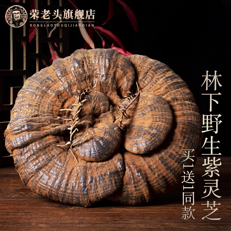 荣老头野生灵芝250克正品长白山紫灵芝干货整朵林芝可切灵芝片茶