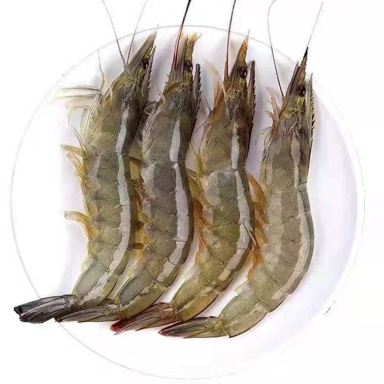 速冻海洋大虾（16到18）头 1袋 500±10g×3袋盐冻威海发货白虾