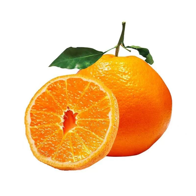 四川春见耙耙柑现摘现发5斤中果礼盒装