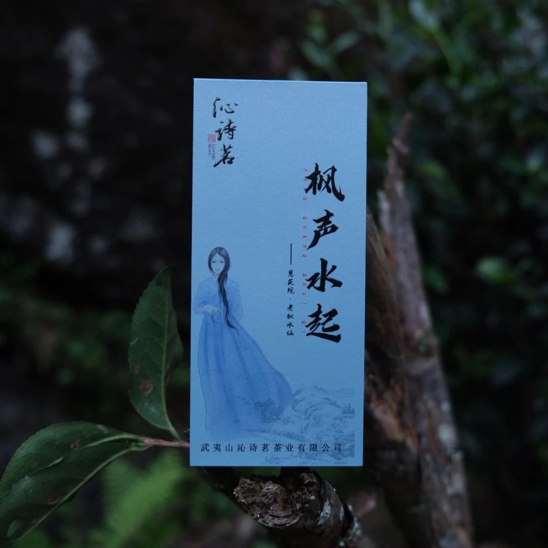 【枫声水起】 老枞水仙  一盒2泡16克