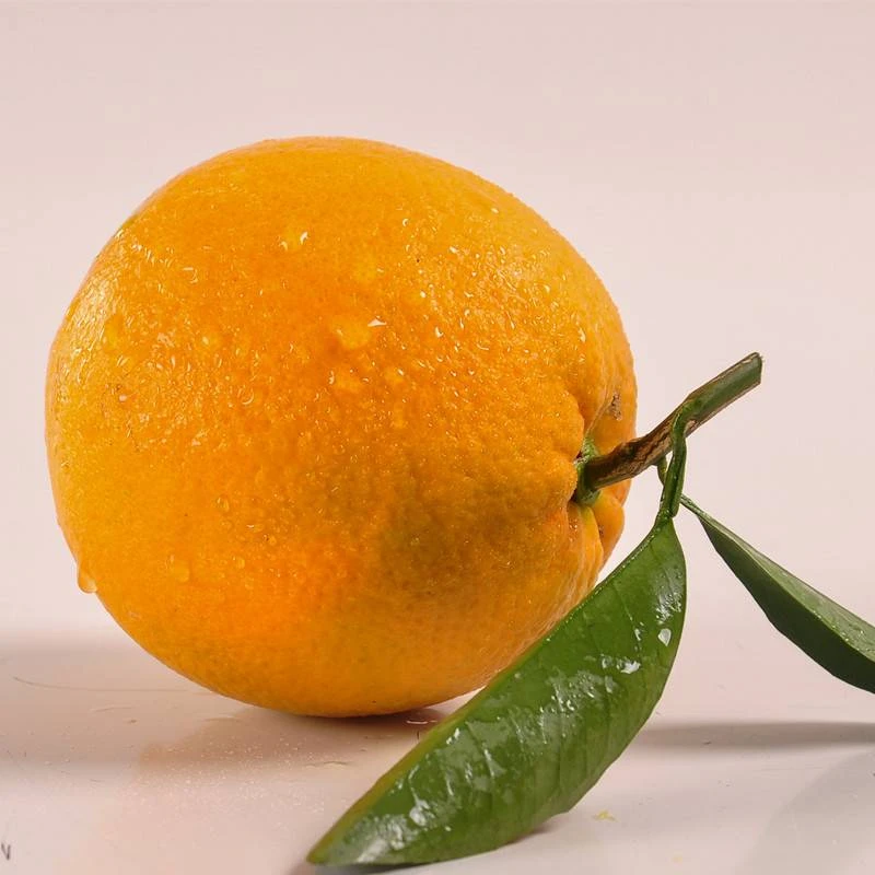 湖北  松滋   纽荷尔脐橙 新鲜  5斤装包邮细腻脆甜浓郁食用鲜嫩