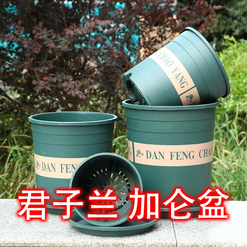 新加仑盆三代加厚控根塑料花盆绿萝君子兰小中大号家用排水透气