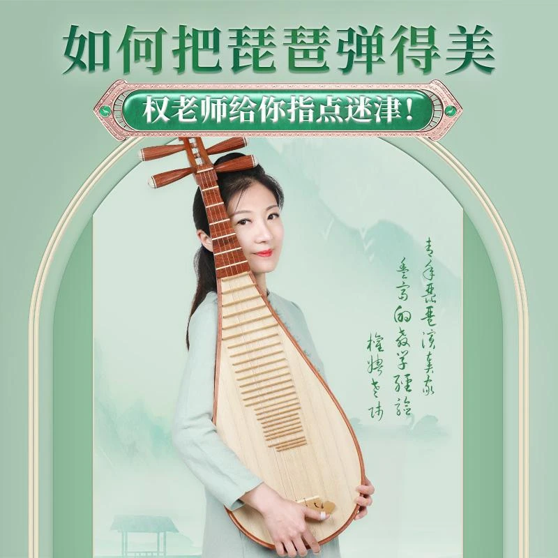 五色风 琵琶课程权娉老师琵琶弹的美系列教学录播课赠电子版教材