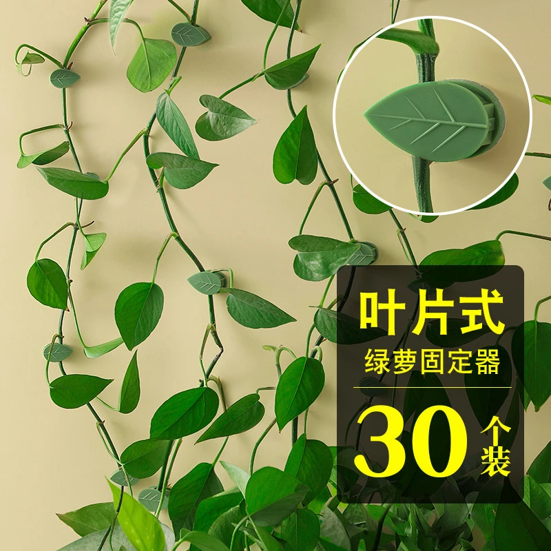绿萝固定器绿植爬墙神器墙面绿箩固定花的卡扣爬藤吸盘攀藤勾夹扣