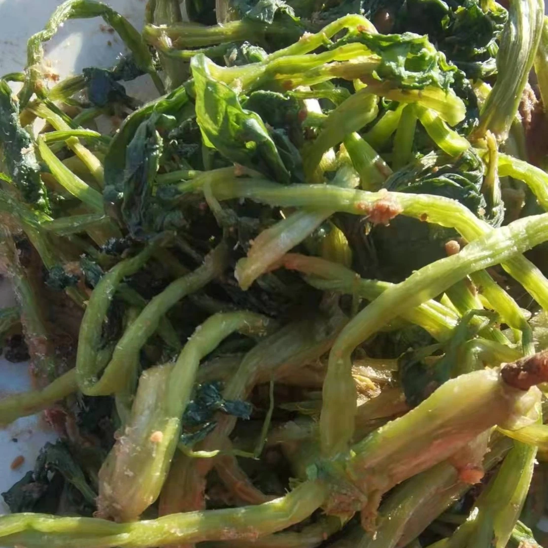 咸芹菜 东北特色 酱腌咸菜 芹菜咸菜 2.5斤 1250克包邮