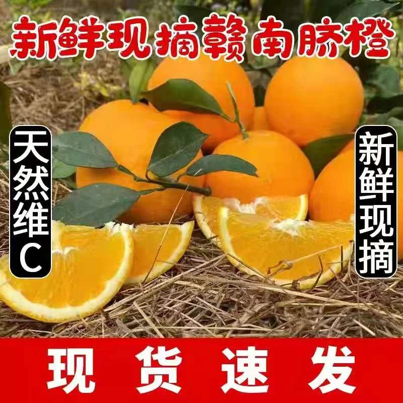 正宗江西省赣南脐橙寻乌甜橙子新鲜应季水果5斤10斤20斤整箱包邮