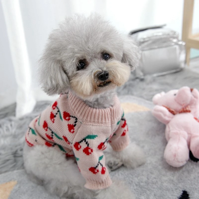 宠物猫咪比熊博美小型犬泰迪狗狗衣服秋冬装可爱樱桃两脚小狗毛衣