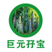 巨元孖宝美食