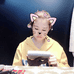 小郗