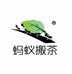 蚂蚁搬茶