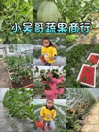 小吴哥蔬果商行