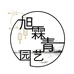 薛欣怡的鲜花