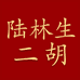 陆林生红晨扬乐器专卖店