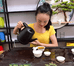 高彩玲茶行