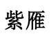 紫雁好物