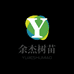 金丝楠木树苗基地