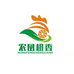 橙香果园正宗奉节脐橙