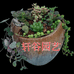 轩谷园艺