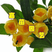 荔浦嘉苗园艺种植场